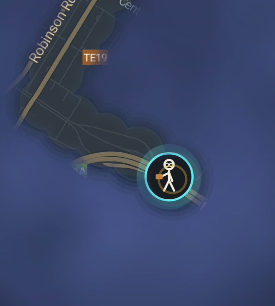 Singapore on the FOG map, streets revealed along a walked route